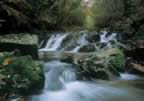 Il Torrente Onazio al Parco Faunistico (37kb)